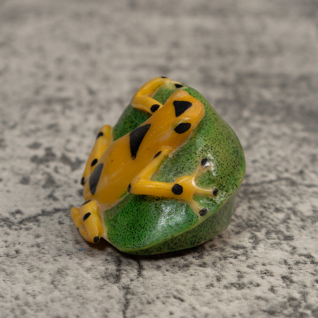 Black And Gold Poison Dart Frog Tagua Carving