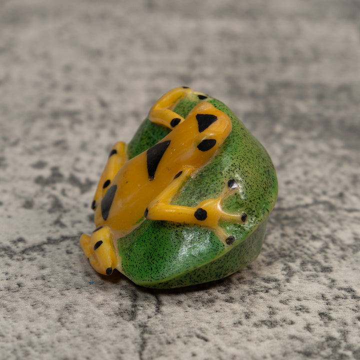 Black And Gold Poison Dart Frog Tagua Carving