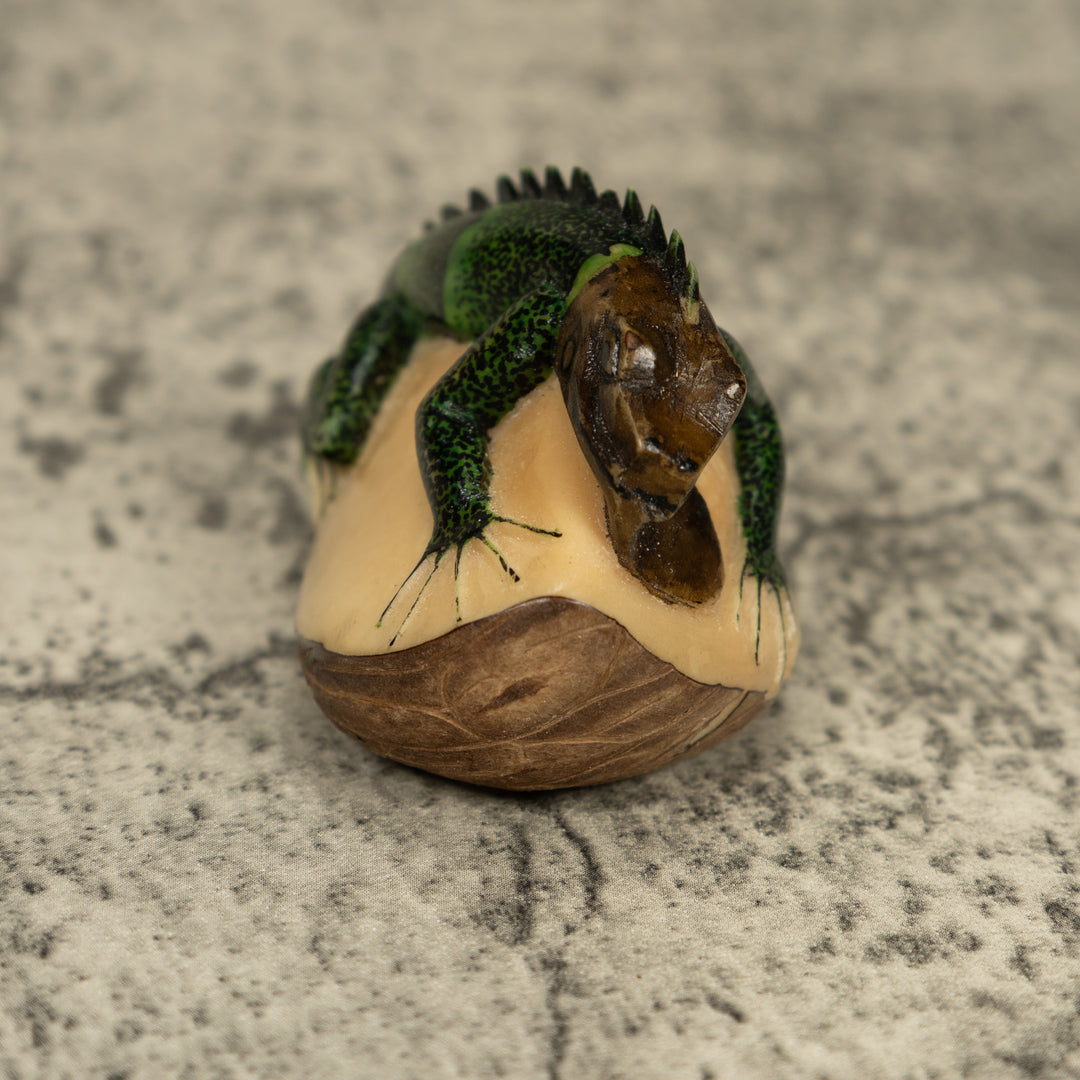 Dark Green Iguana Lizard Tagua Carving