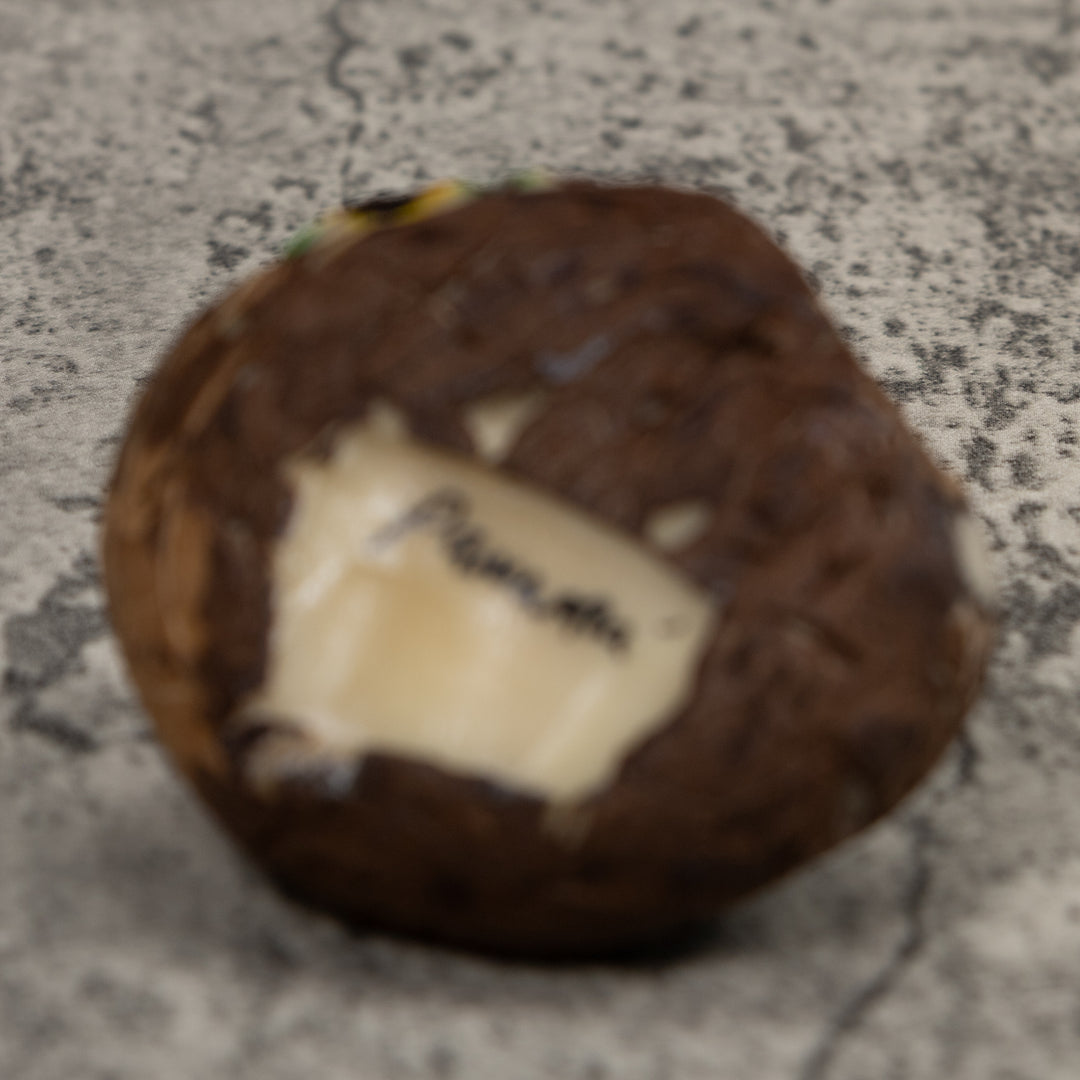 Poison Dart Frog Tagua Carving