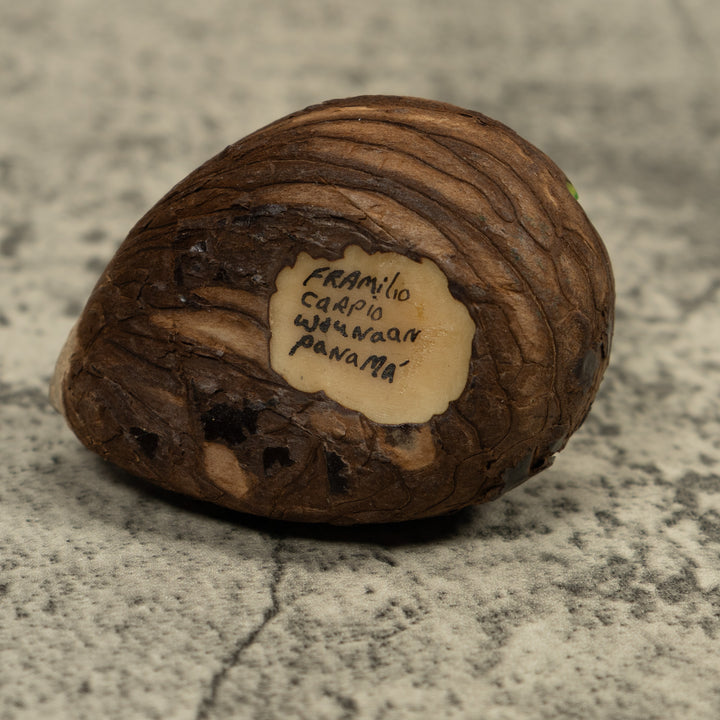 Poison Dart Frog Tagua Carving