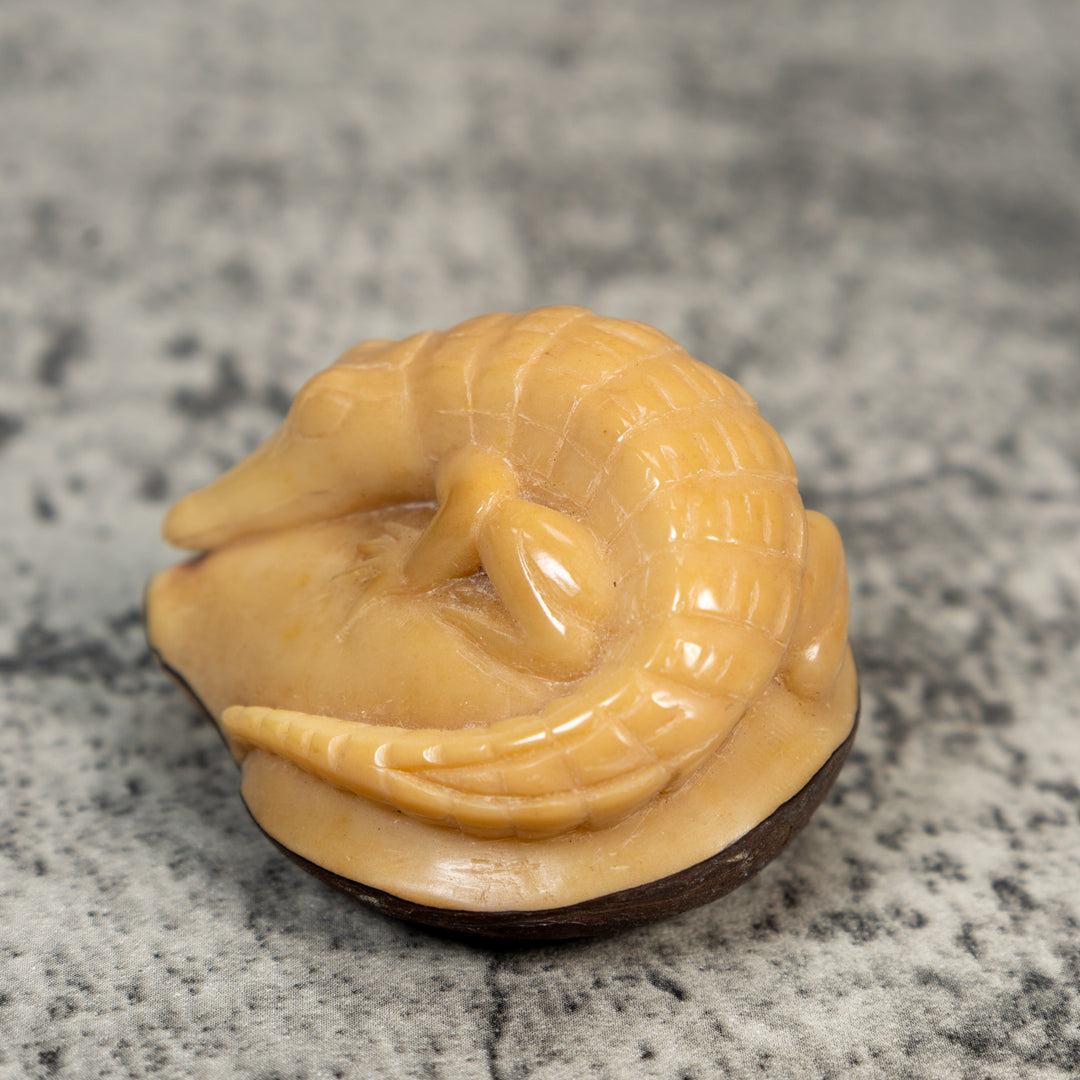 Vintage Natural White Dyed Alligator Tagua Carving