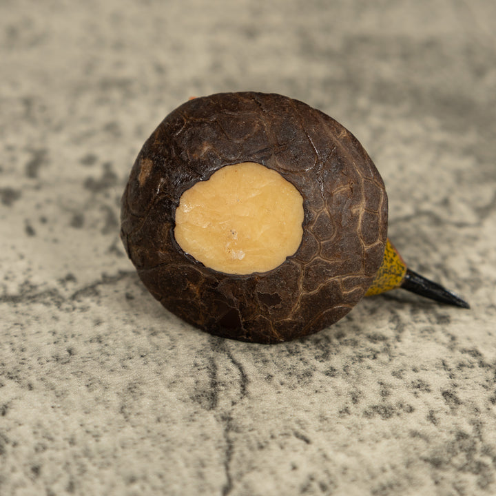 Seed Eater Bird Tagua Carving