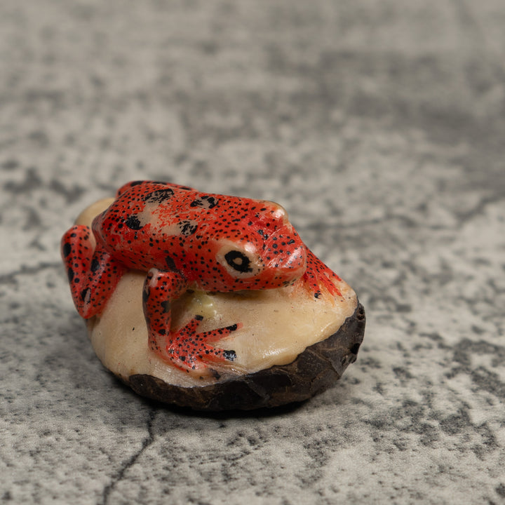 Vintage Red And Black Poison Dart Frog Tagua Carving