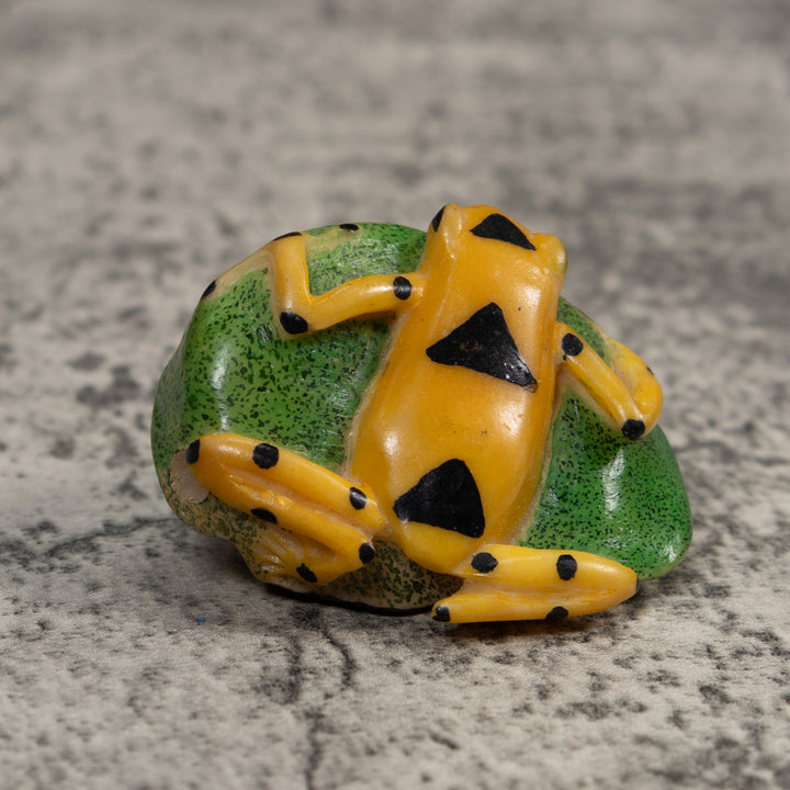 Black And Gold Poison Dart Frog Tagua Carving
