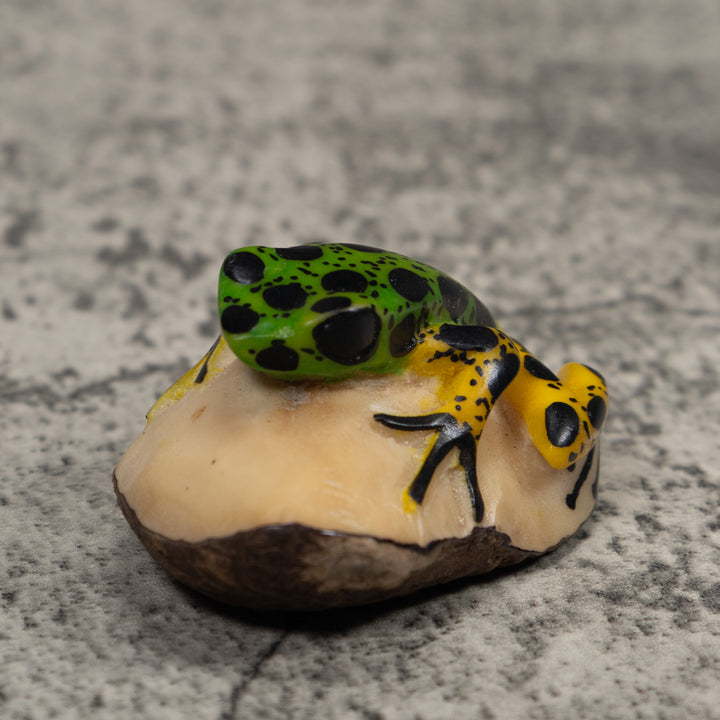 Vintage Frog Tagua Carving