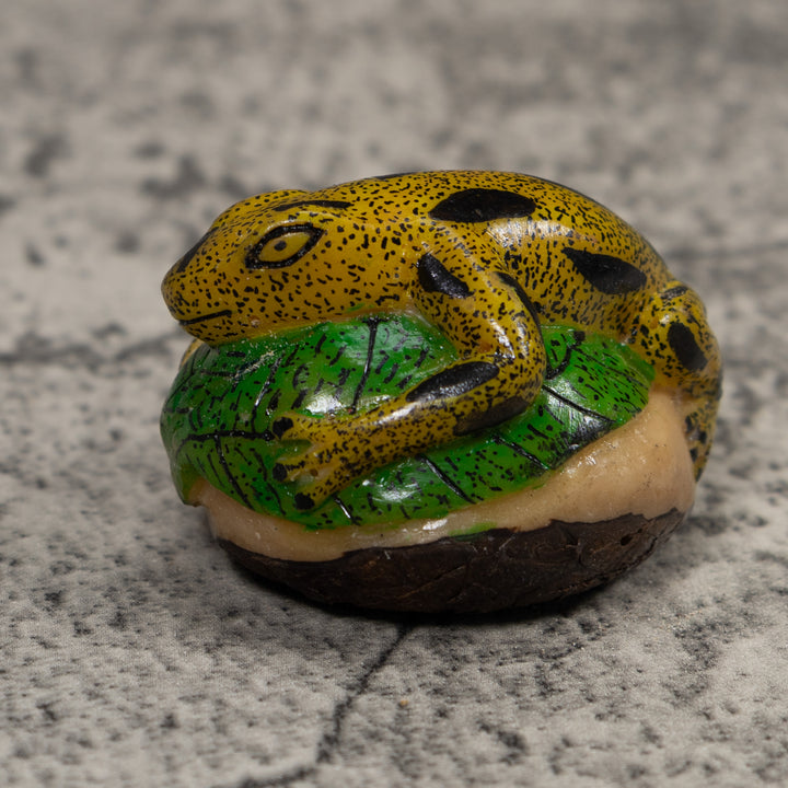 Gold Black And Green Frog Tagua Carving