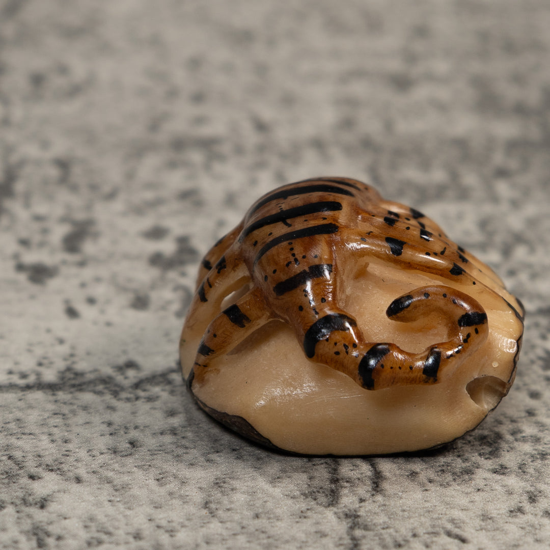 Vintage Brown And Black Insect Tagua Carving