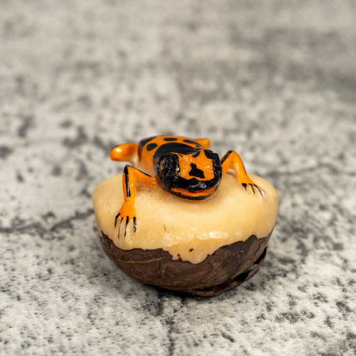 Orange And Black Poison Dart Frog Tagua Carving