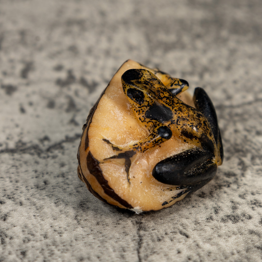 Vintage Black And Gold Frog Tagua Carving