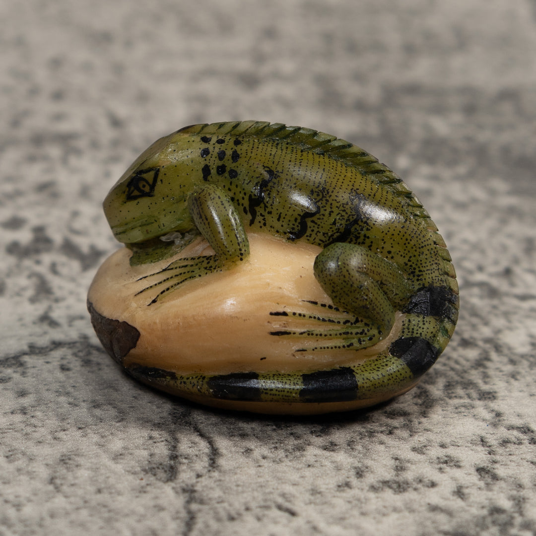 Black And Green Iguana Lizard Tagua Carving