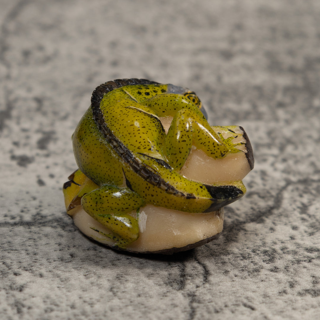 Green And Black Iguana Lizard Tagua Carving