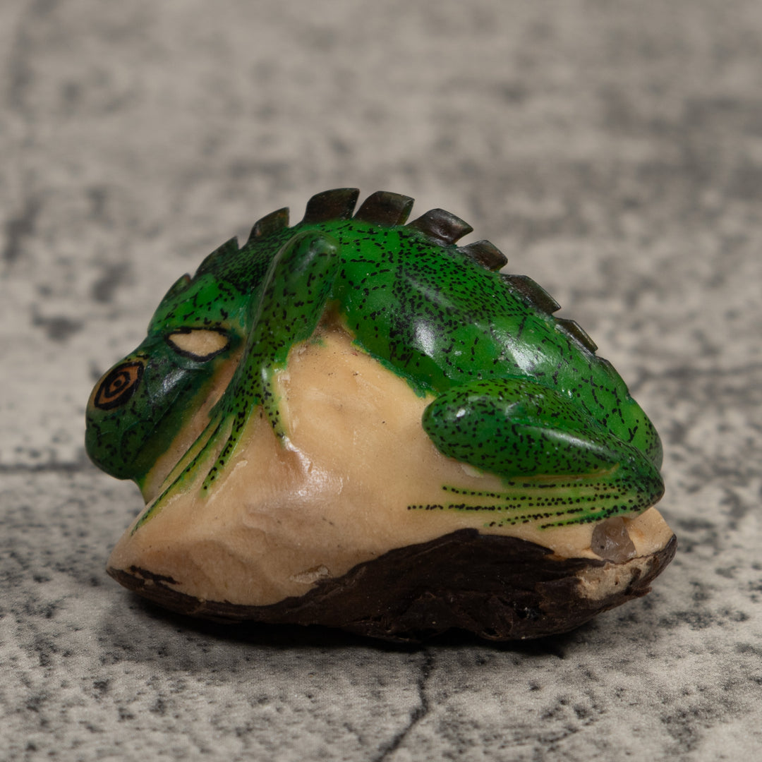 Iguana Lizard Reptile Tagua Carving