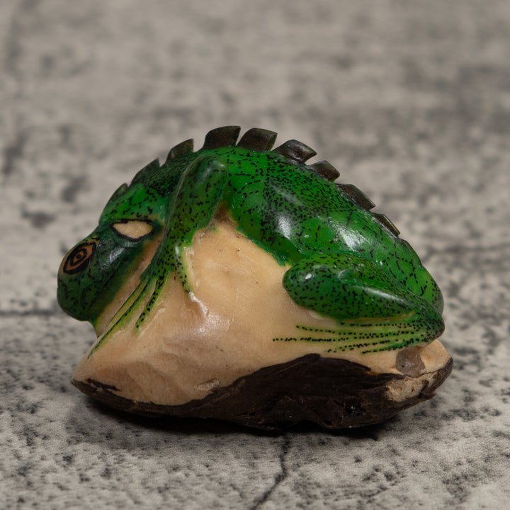Iguana Lizard Reptile Tagua Carving