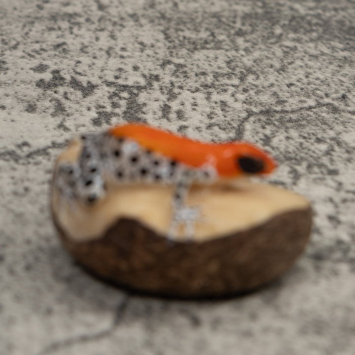 Poison Dart Frog Tagua Carving
