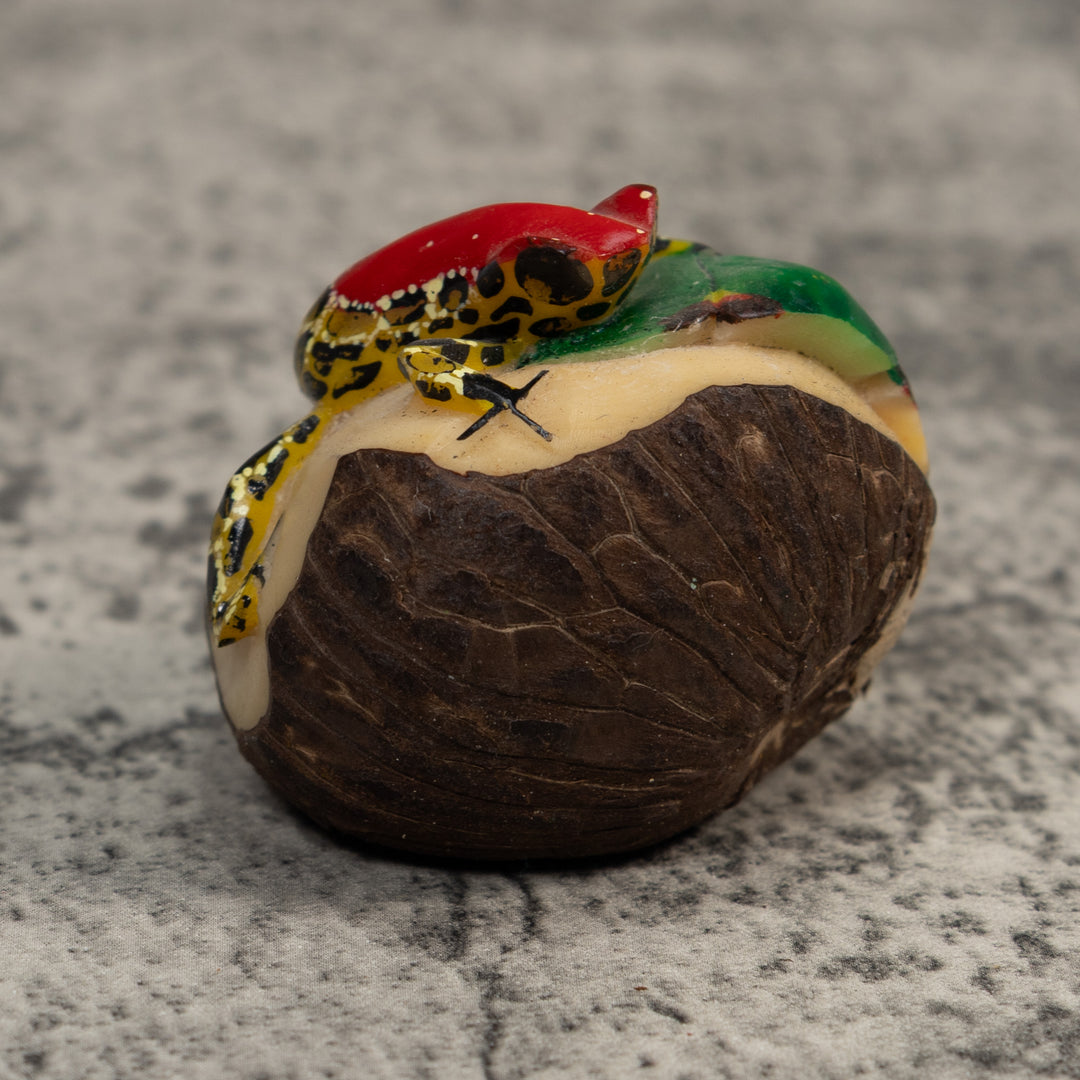 Red Yellow And Black Poison Dart Frog Tagua Carving