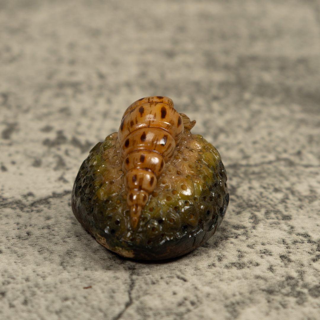 Catapillar Tagua Carving