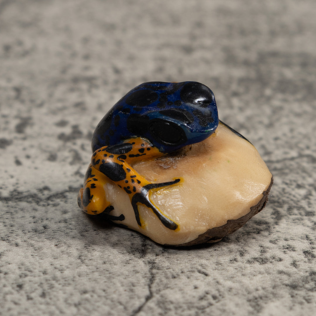 Vintage Blue And Orange Poison Dart Frog Tagua Carving