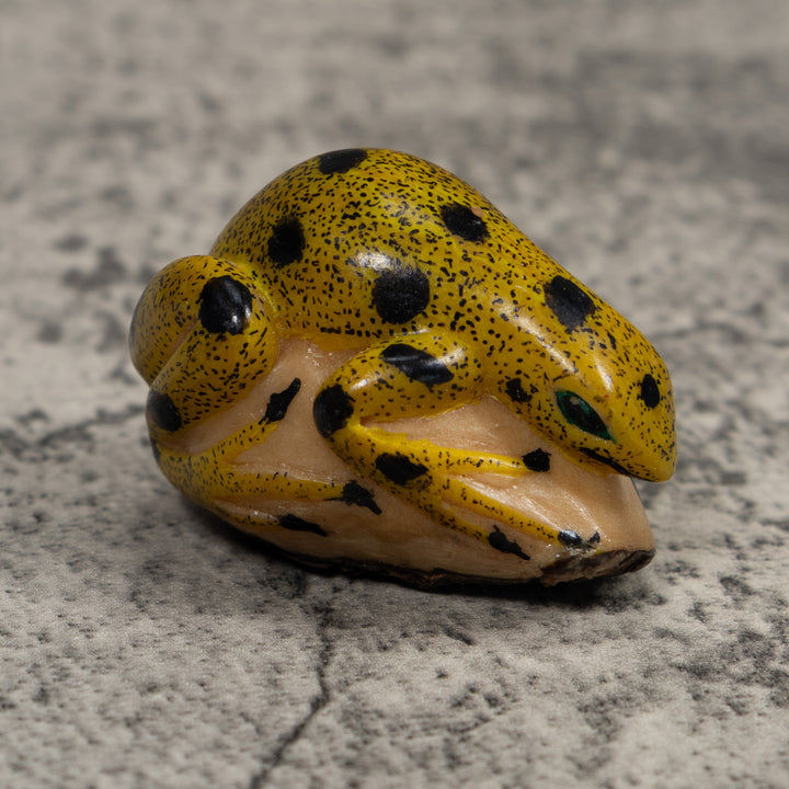 Vintage Black And Gold Frog Tagua Carving