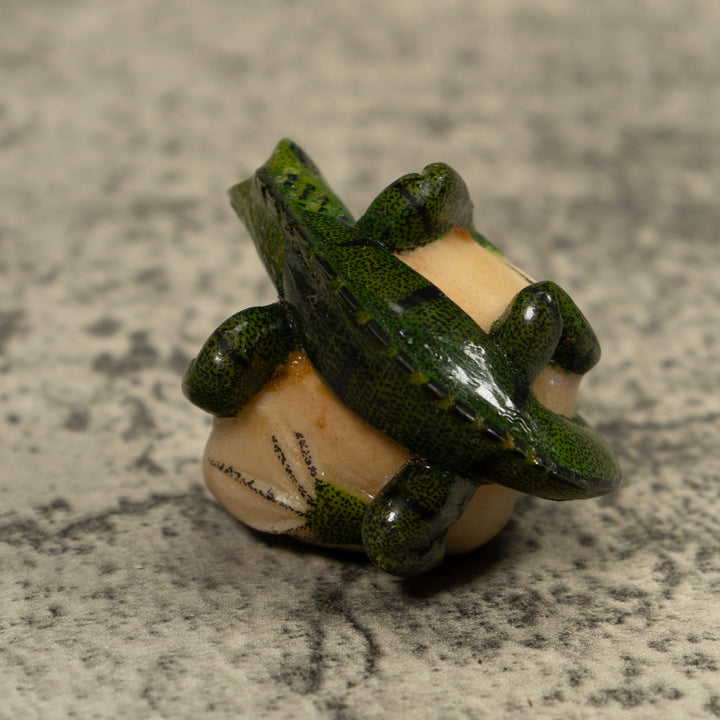 Iguana Lizard Reptile Tagua Carving