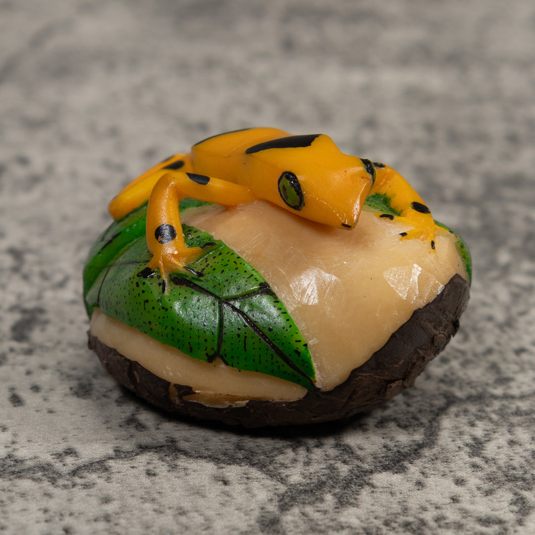 Golden Frog Tagua Carving