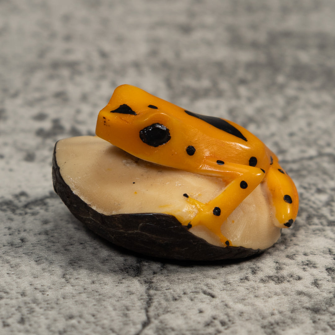 Golden Frog Tagua Carving