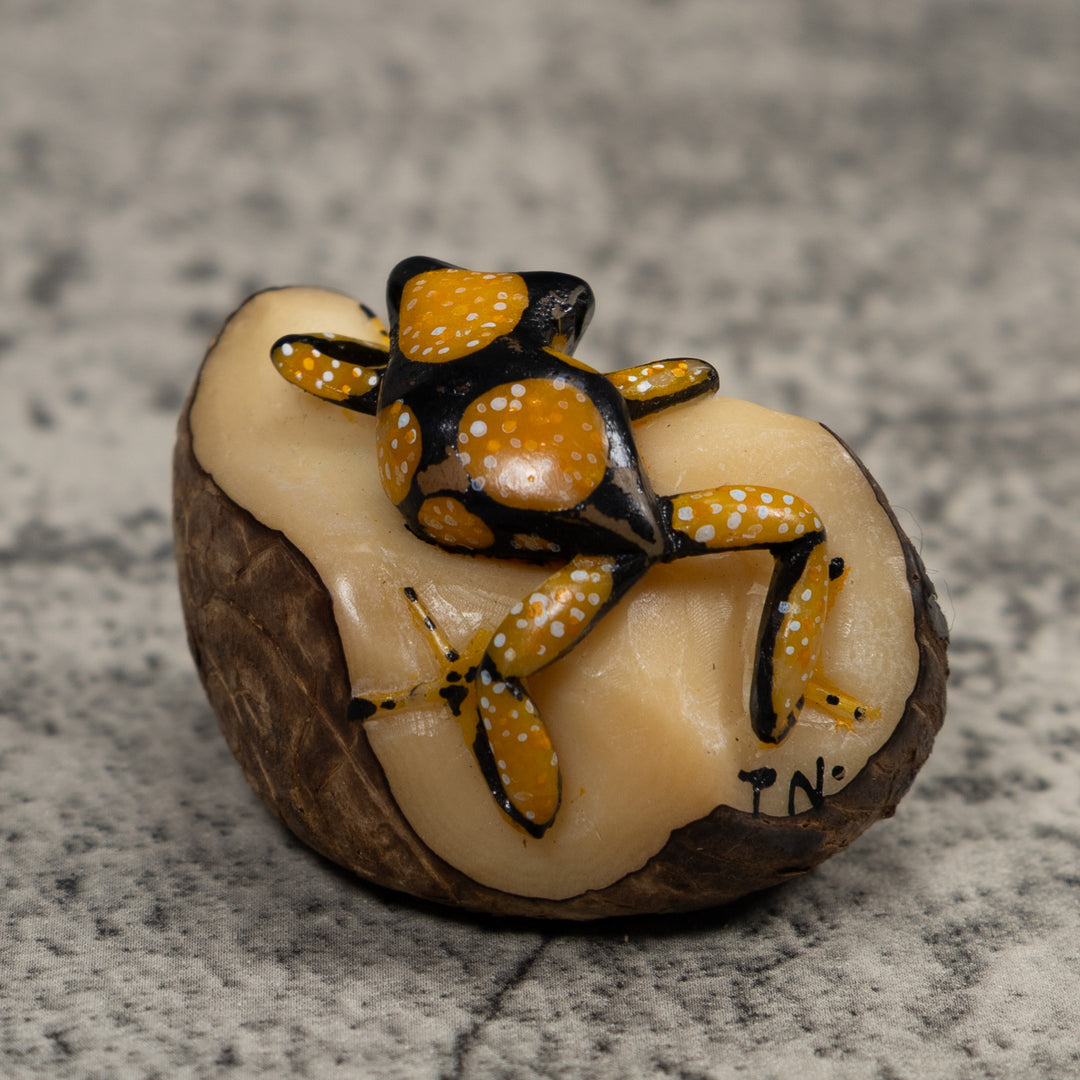 Gold White And Black Frog Tagua Carving