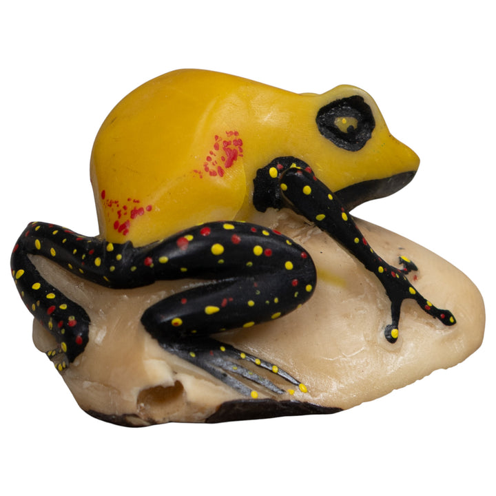Poison Dart Frog Tagua Carving