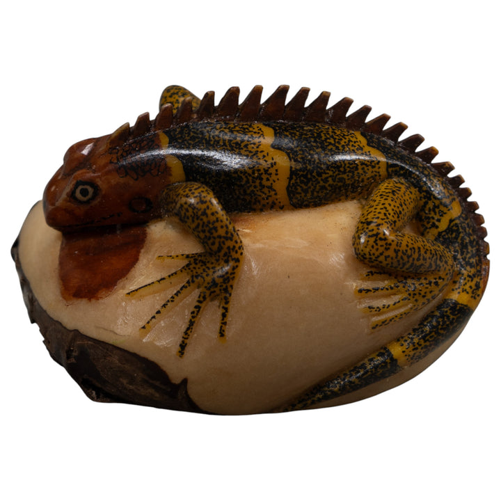 Iguana Lizard Reptile Tagua Carving