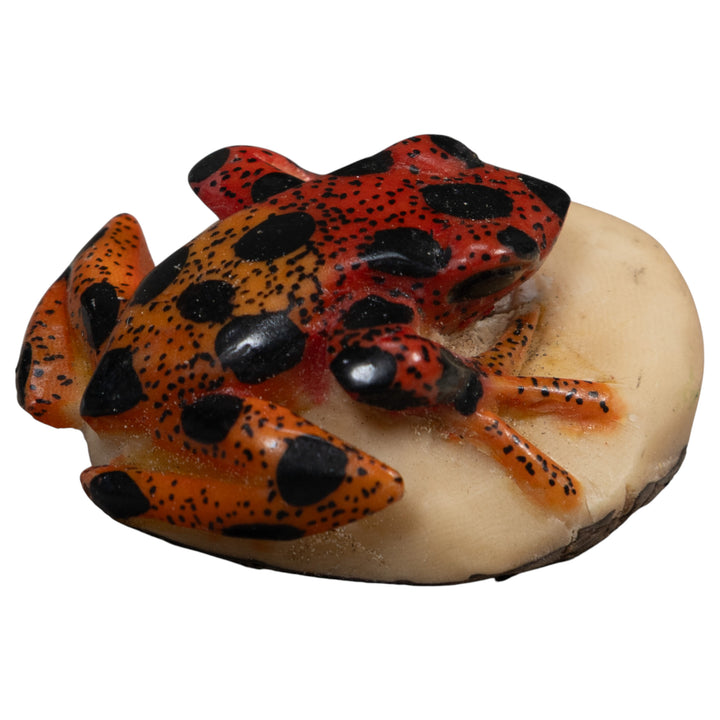 Vintage Red And Black Poison Dart Frog Tagua Carving
