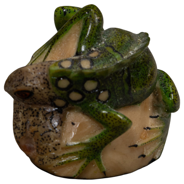 Iguana Lizard Reptile Tagua Carving