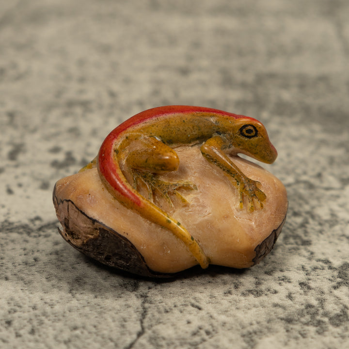 Red Stripped gecko Tagua Carving