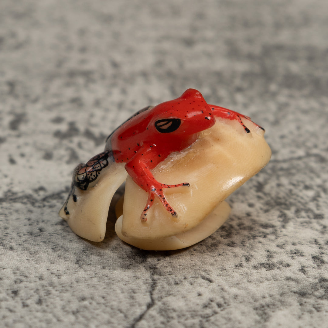 Black And Red Poison Dart Frog Tagua Carving