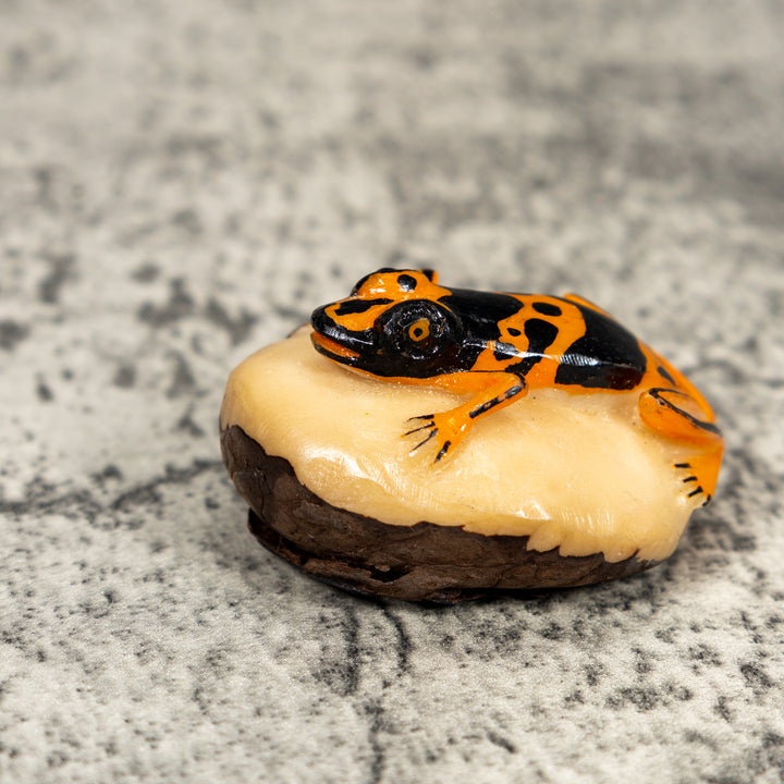 Orange And Black Poison Dart Frog Tagua Carving