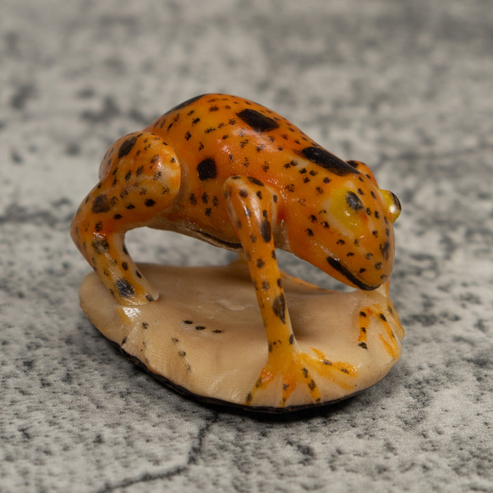Vintage Black And Gold Frog Tagua Carving