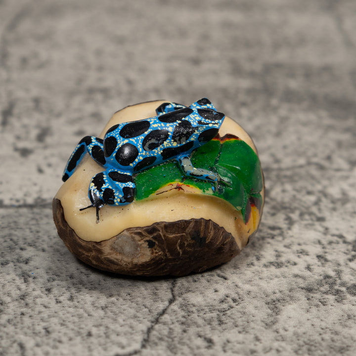 Black Blue And White Poison Dart Frog Tagua Carving