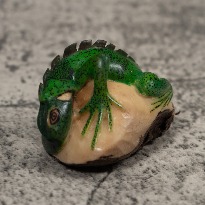 Iguana Lizard Reptile Tagua Carving