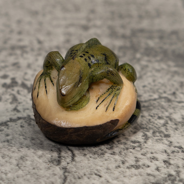 Black And Green Iguana Lizard Tagua Carving