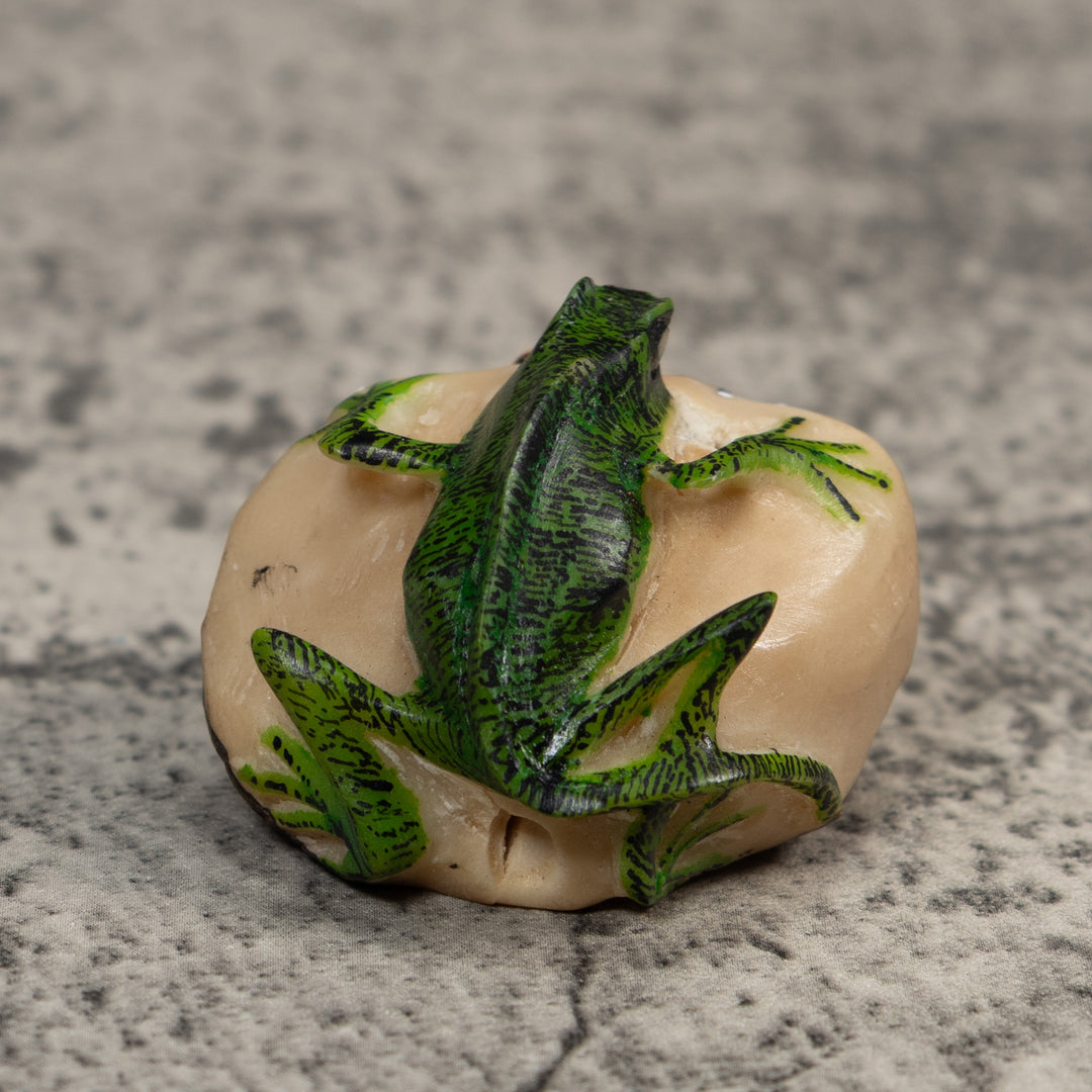 Red Green And Yellow Iguana And Frog Tagua Carving