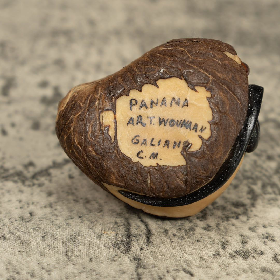 Redhead Black Gecko Lizard Tagua Carving