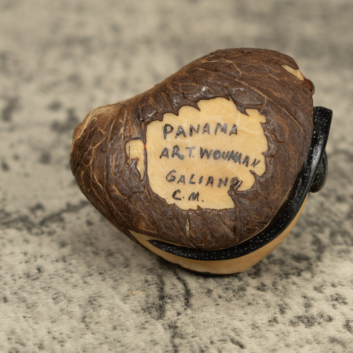 Redhead Black Gecko Lizard Tagua Carving