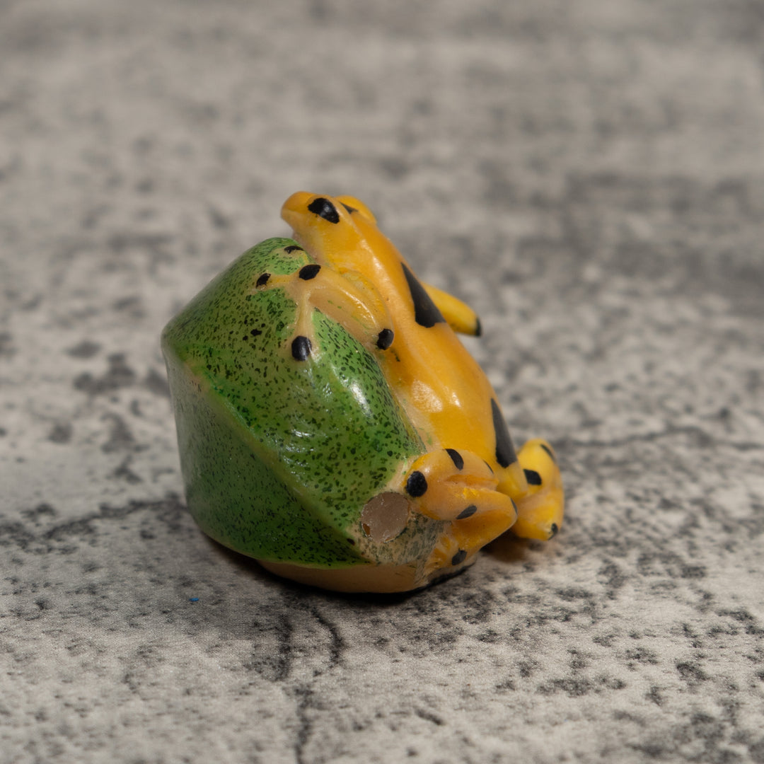 Black And Gold Poison Dart Frog Tagua Carving