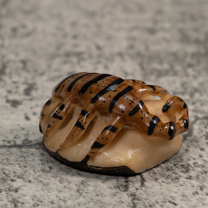 Vintage Brown And Black Insect Tagua Carving
