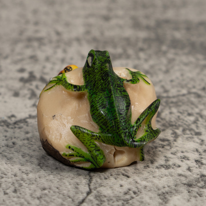 Red Green And Yellow Iguana And Frog Tagua Carving