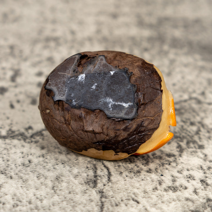 Orange And Black Poison Dart Frog Tagua Carving