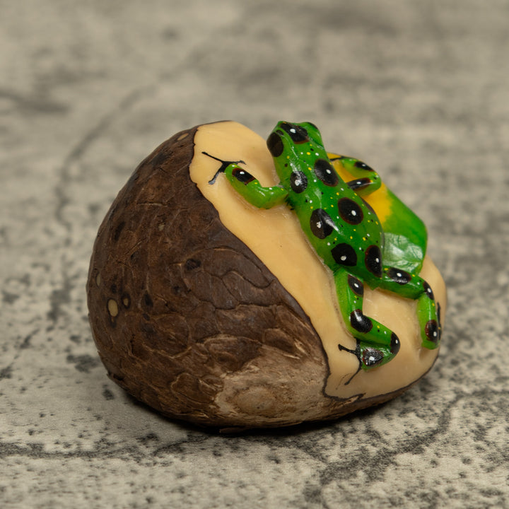 Poison Dart Frog Tagua Carving