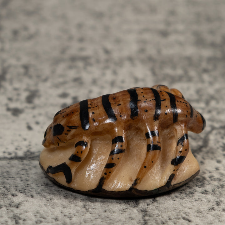 Vintage Brown And Black Insect Tagua Carving