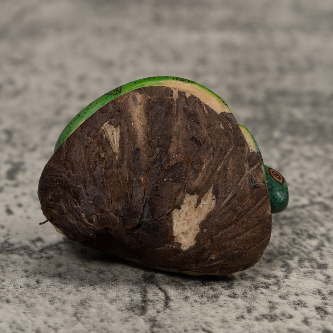 Iguana Lizard Reptile Tagua Carving