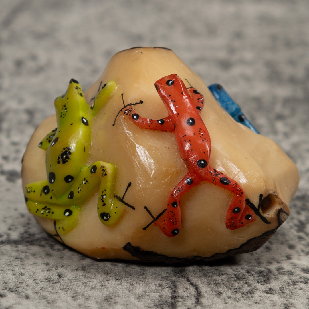 3 Poison Dart Frog Tagua Carving