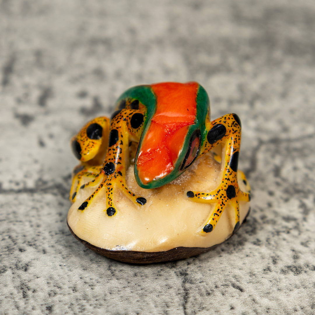 Gold And Black Red Green Poison Dart Frog Tagua Carving
